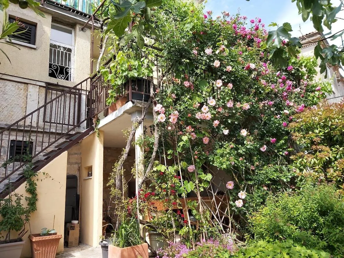 Unter Dem Feigenbaum! Gartenstudio Višnjan 0*,  크로아티아
